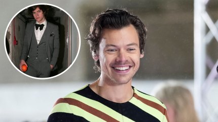 Watermelon! Kiwi! Breaking Down Harry Styles' Obsession With Fruit