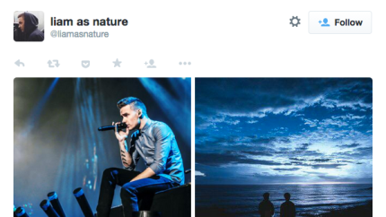 Liam payne as nature