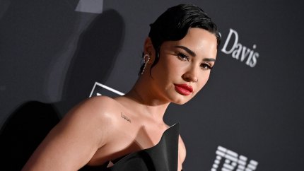 Who Is Poot Lovato? Demi Lovato Meme Explained, The Singer's Quotes