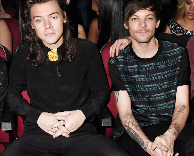 Louis Tomlinson Officially Bans The Name 'Larry' From His