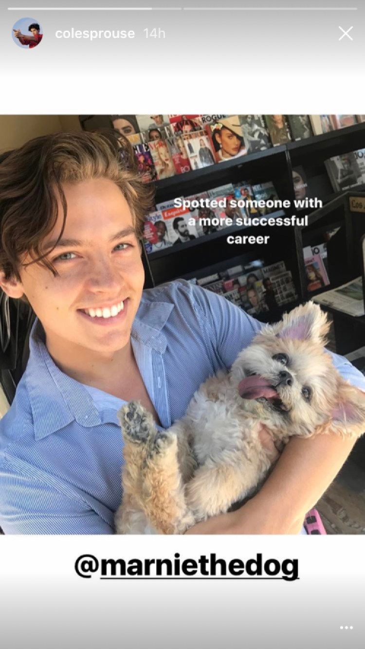 cole sprouse marnie the dog instagram story