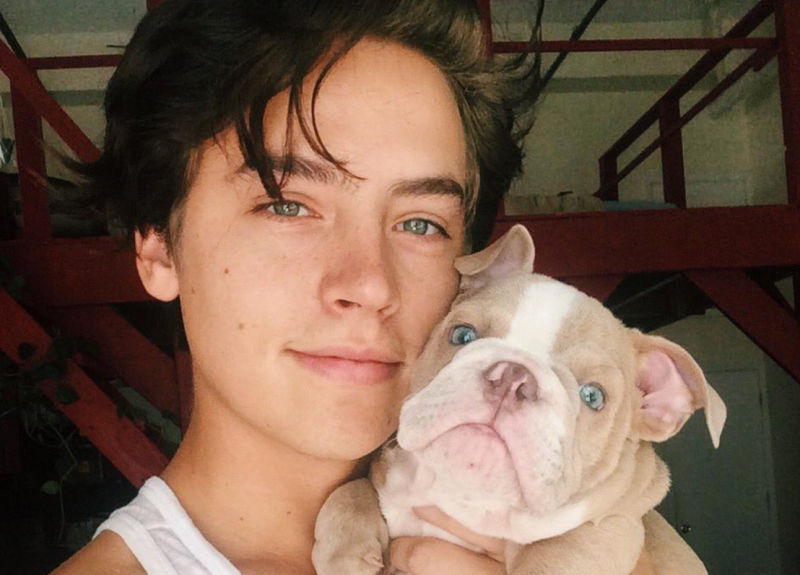 Cole sprouse puppy
