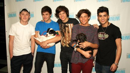 One direction puppies