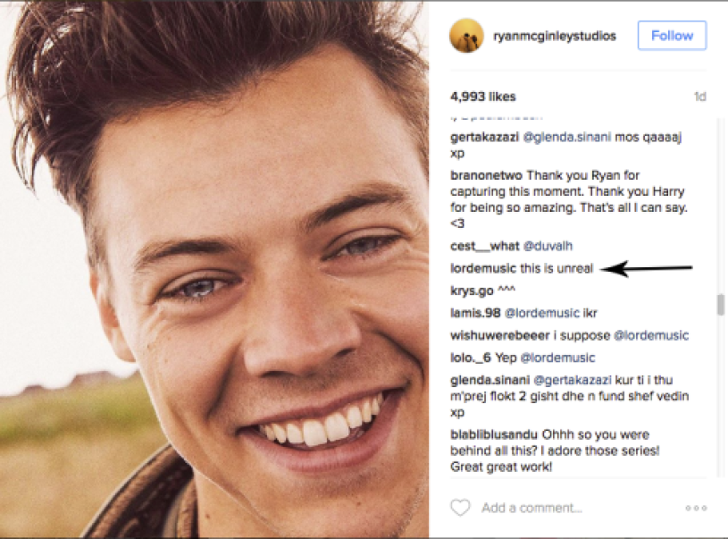 lorde harry comment