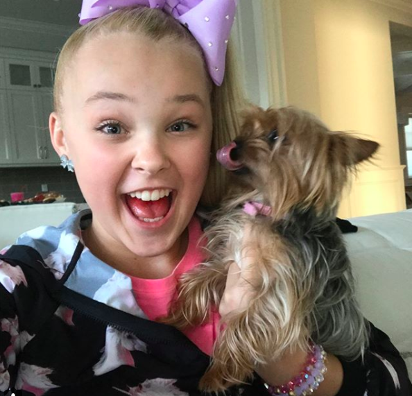 Jojo Siwa's Dog BowBow: Name, Facts, and More About the Pup | J-14
