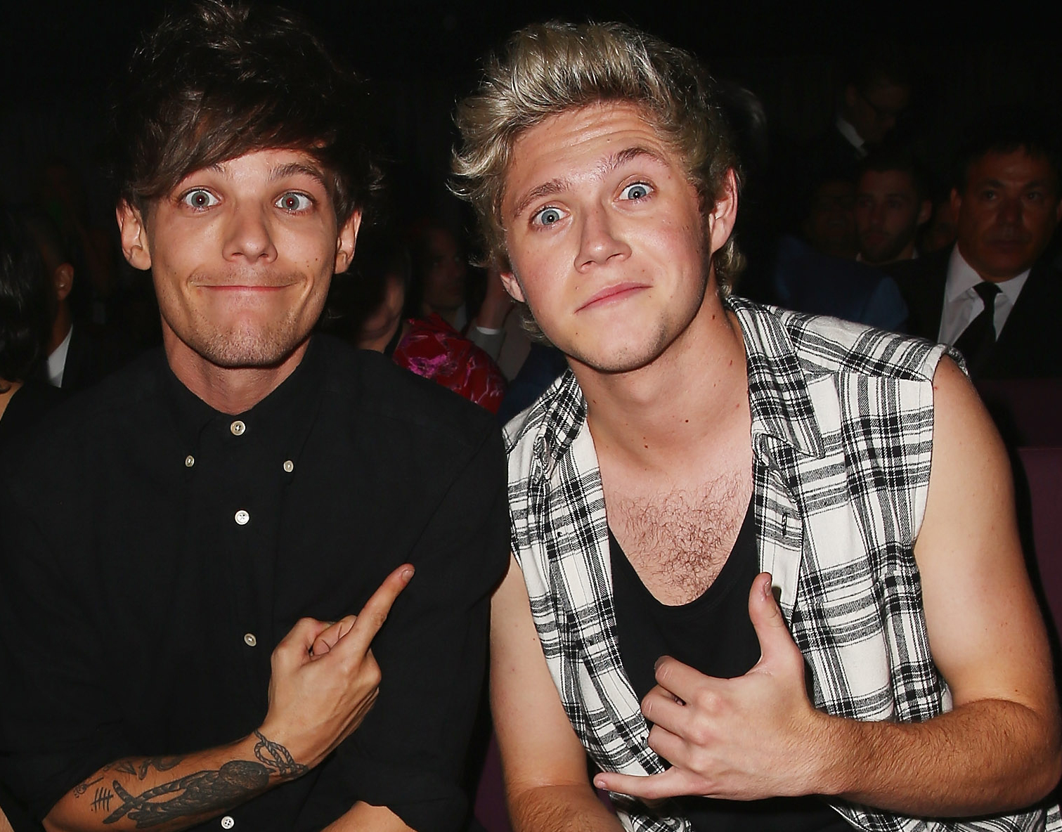 Niall Horan Plans to Reunite With Louis Tomlinson On X Factor