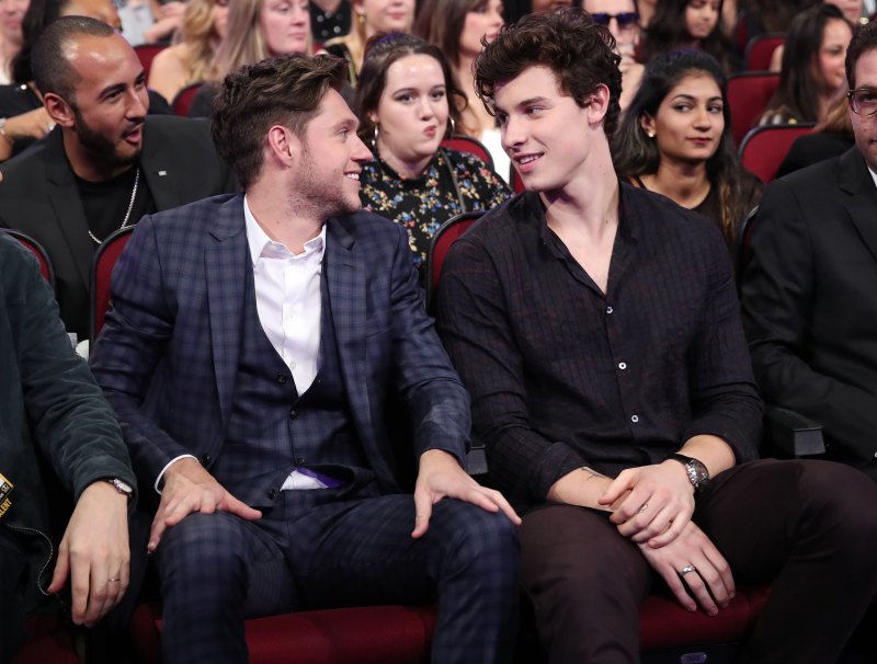 Niall Horan and Shawn Mendes