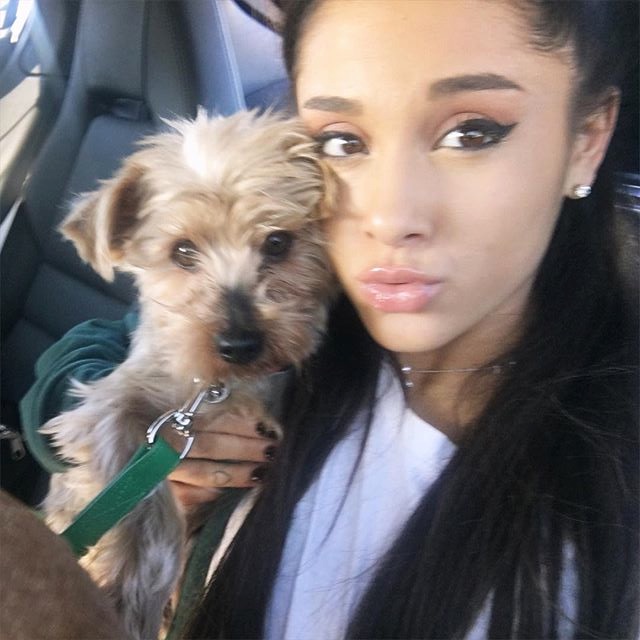 Ariana Grande's dog stars in Coach Pups campaign