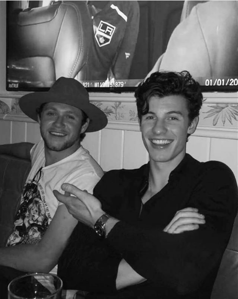 Niall Horan Shawn Mendes Hanging Out