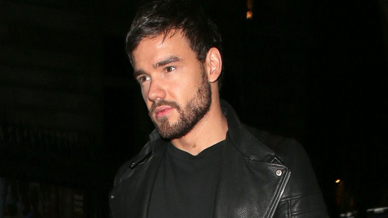 Liam Payne Reacts To The Pics Of Bear