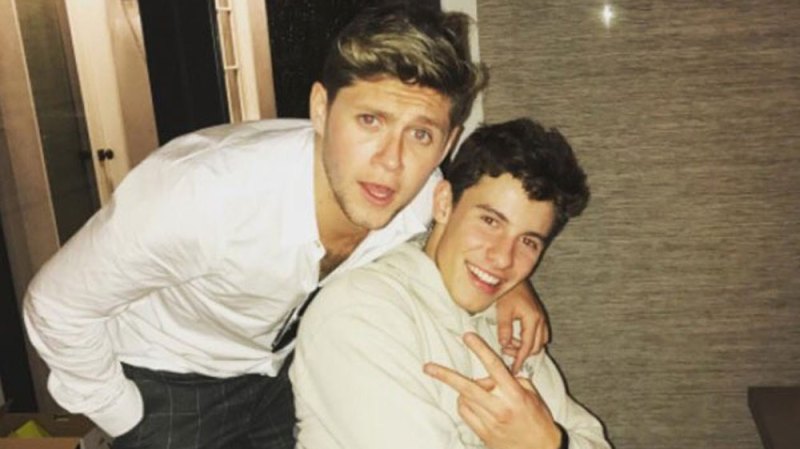 Niall Horan Speaks About Shawn Mendes Collab
