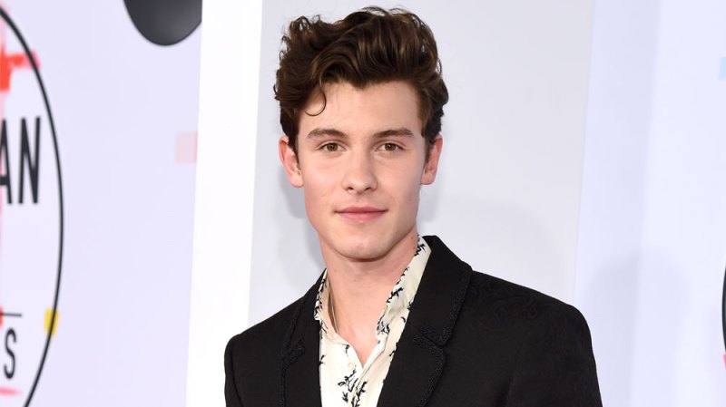 Shawn Mendes Accidentally Likes Offensive Tweet