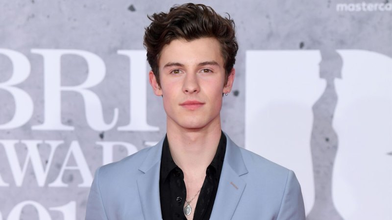 Shawn Mendes refuses help fan come out as bisexual