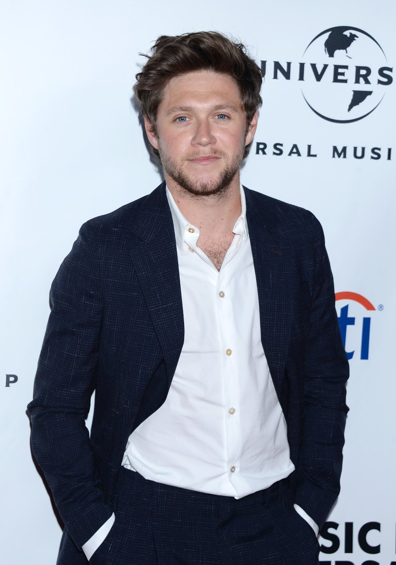 Niall Horan One Direction Reunion