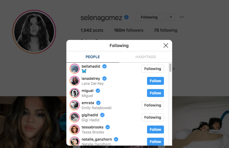 Selena Gomez Follows Bella Hadid On Instagram