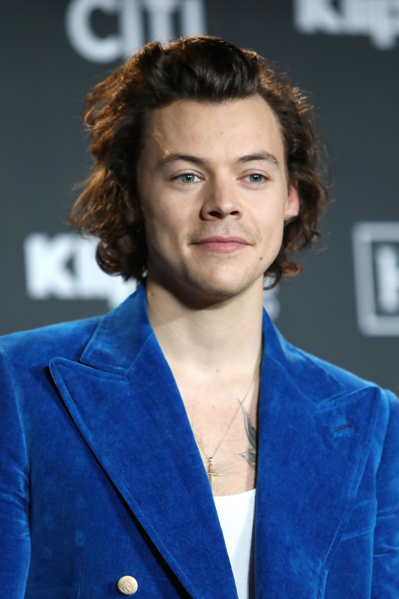 Harry Styles Confirms One Direction Reunion