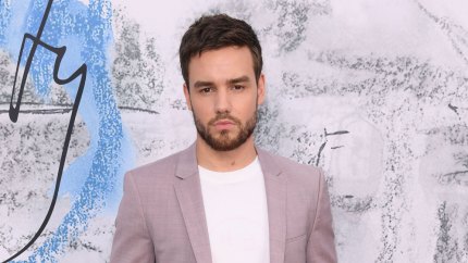Liam Payne Therapy After One Direction