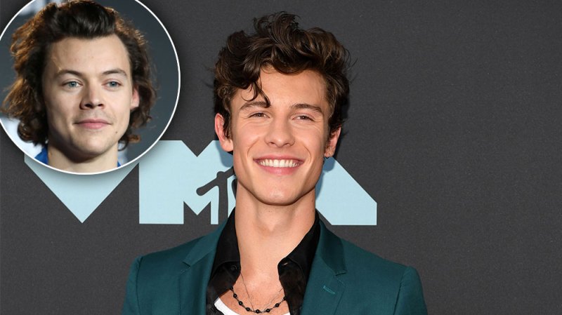 Shawn Mendes Reacts to Harry Styles Saying His Name Wrong