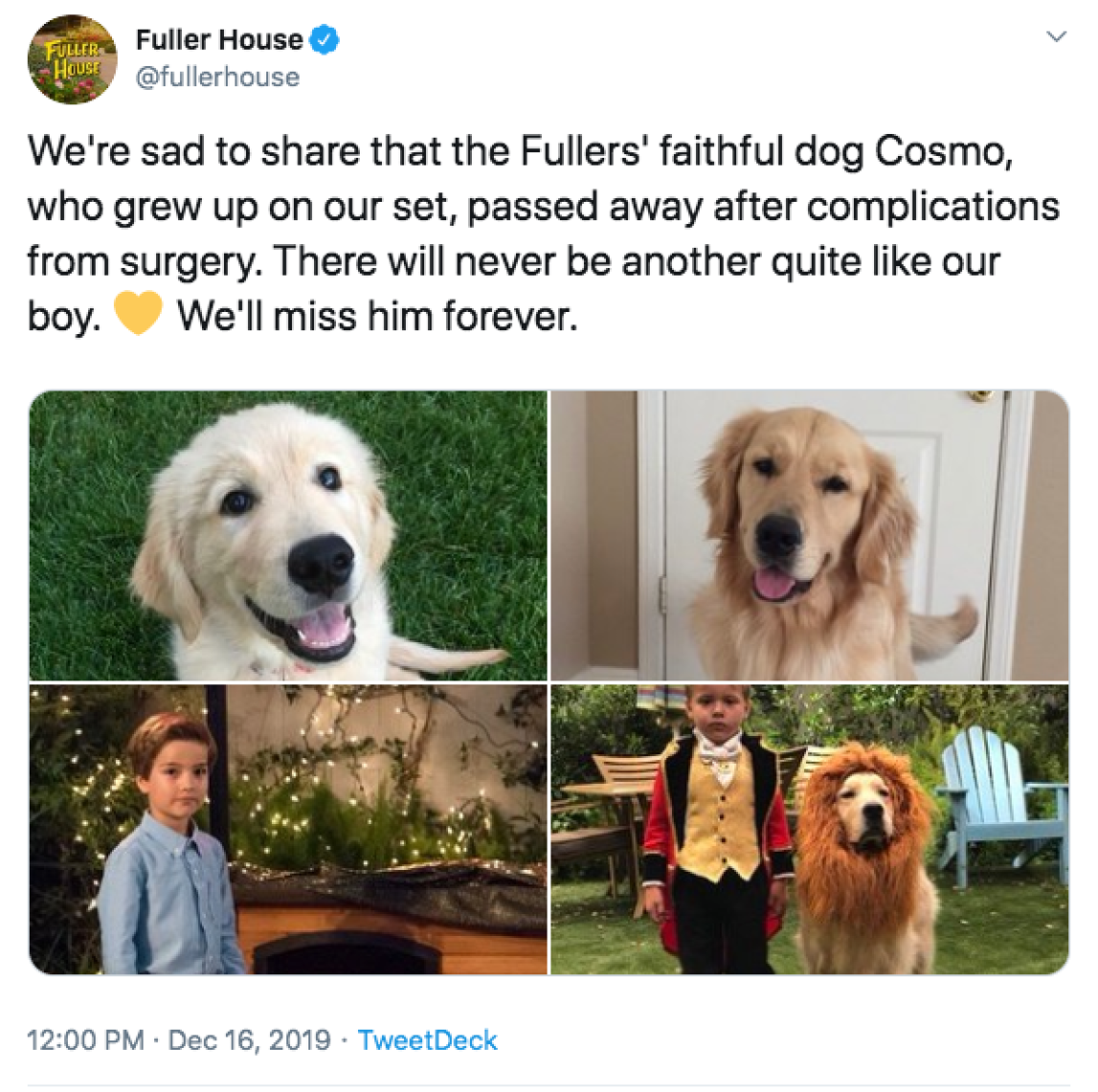 Fuller House Dog Passes Away