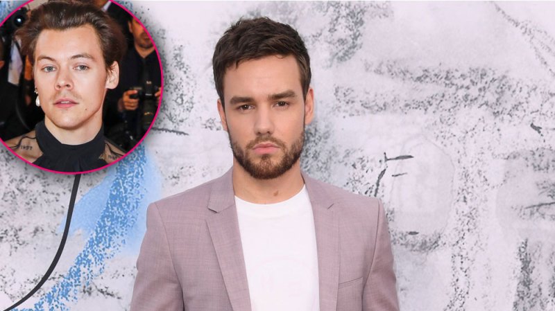 Fans Are Not Happy After Liam Payne Shaded The Way Harry Styles Dresses