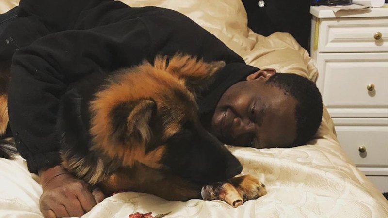 YouTuber Deji Begs For Help After His Dog Is Sentenced To Be Put Down For Biting Elderly Woman