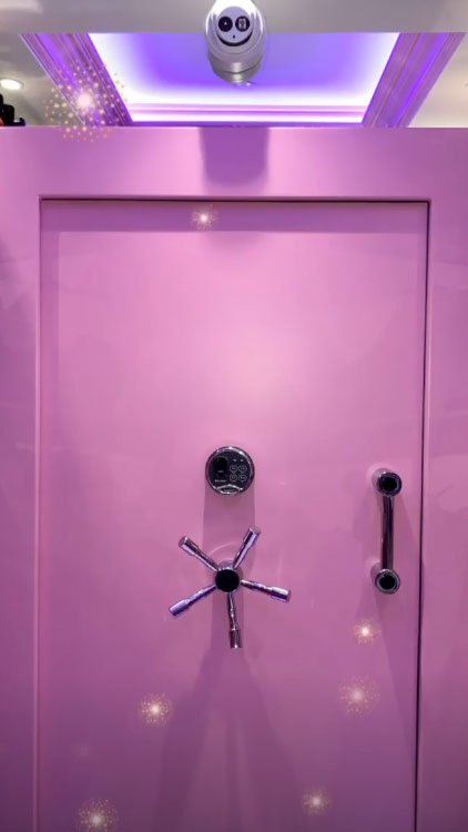 My Pink VAULT Closet Tour 