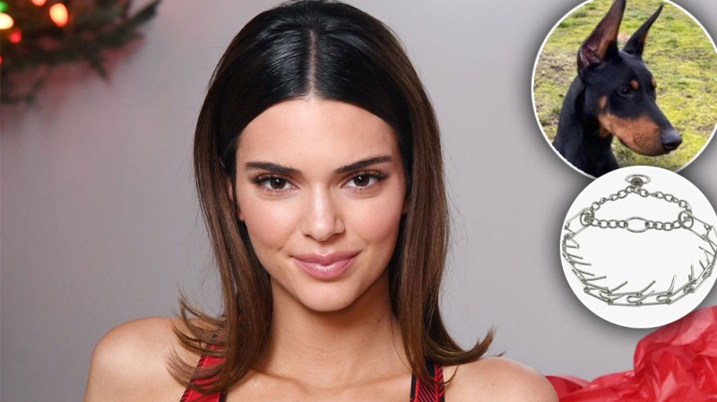 Kendall Jenner Slammed For Prong Collar Dog