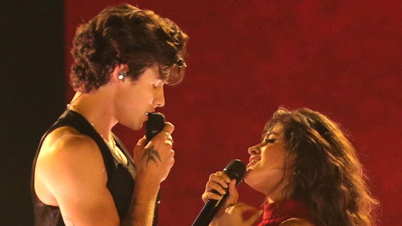 Camila Cabello Says She And Shawn Mendes Will Strip Down To Their Underwear If They Win A Grammy