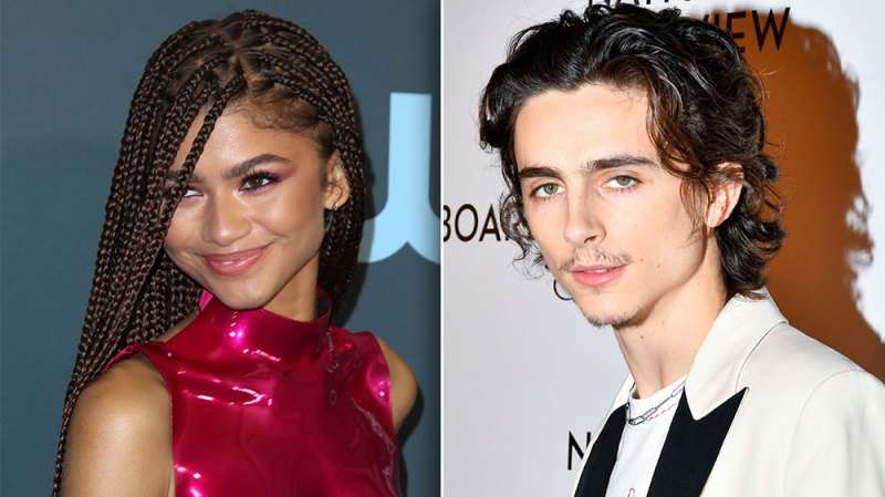 Fans Are Convinced Timothée Chalamet And Zendaya Are Dating After They Hit Up Bed, Bath & Beyond Together