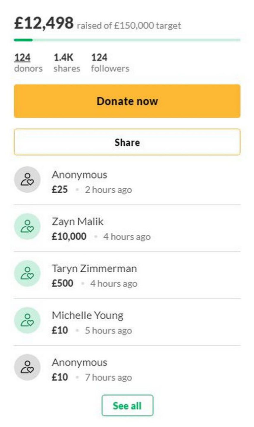 Zayn Malik Donates to Young Girl With Cancer