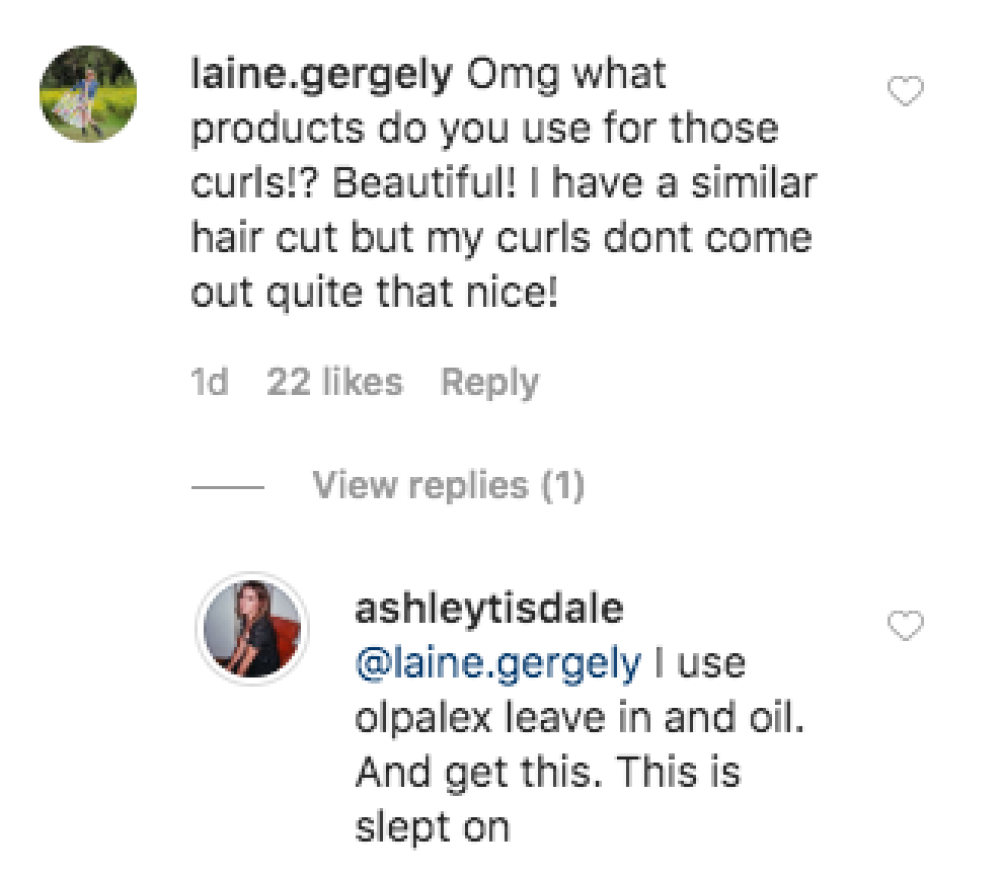 Ashley Tisdale Fires Back At Internet Troll Who Questioned Her ‘Natural Curl'