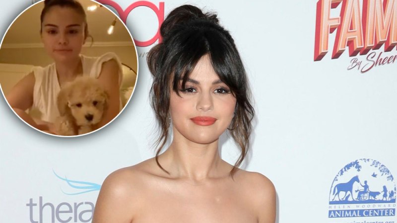 Selena Gomez New Puppy Daisy