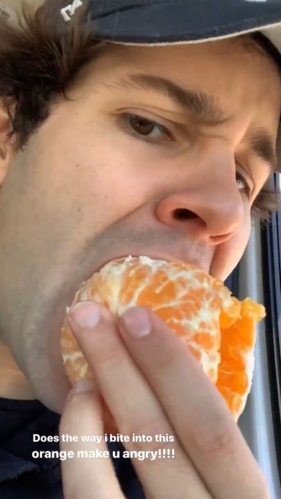 Here’s Why The Internet Not Happy With The Way Vlogger David Dobrik Eats An Orange