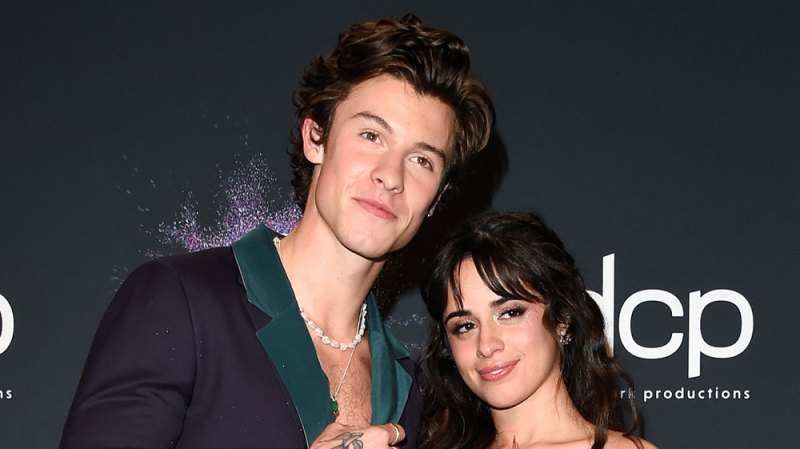 Fans Are Obsessed With This Viral Video Of Shawn Mendes And Camila Cabello Walking Slowly