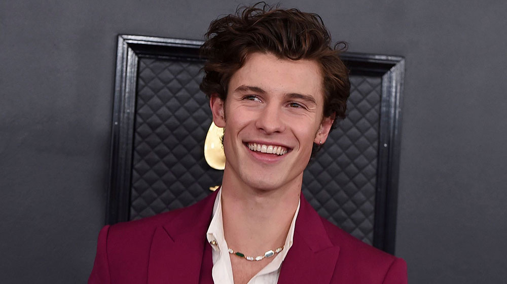Shawn Mendes to Release New Album 'Wonder:' All the Details