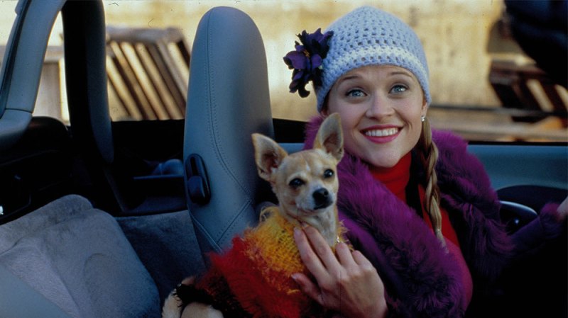 There Might Be A ‘Legally Blonde 3’ Script In The Works And Fans Are Freaking Out