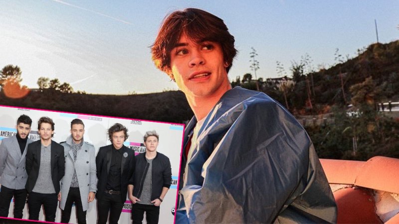TikTok Star Anthony Reeves Comes Under Fire For Shading One Direction Fans On 10-Year Anniversary