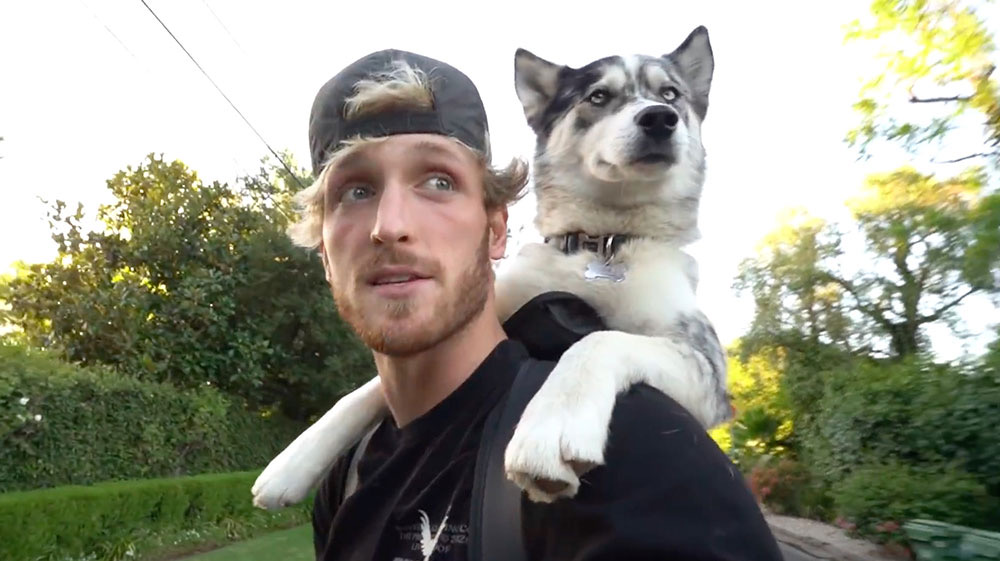 Logan Paul Denies Accusations He Pushed His Dog Into A Lake