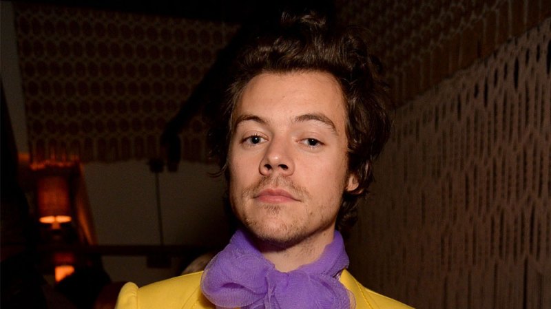 Harry Styles Cast in Another Movie Following Retirement From Acting — Everything to Know About ‘My