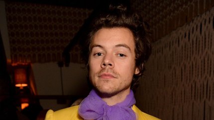 Harry Styles Cast in Another Movie Following Retirement From Acting — Everything to Know About ‘My Policeman’