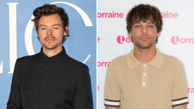 Fans Think Louis Tomlinson And Harry Styles Reunite In Back To You Video