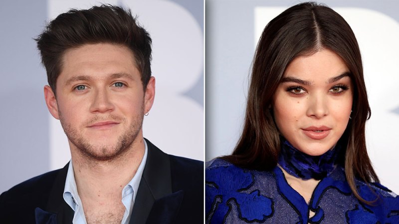 A Complete Recap Of Niall Horan And Hailee Steinfeld's Relationship And Messy Breakup