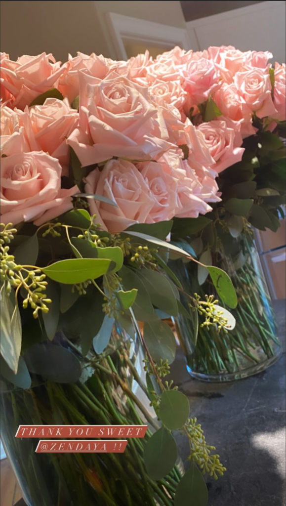 Zendaya Sends Gigi Hadid a Sweet Gift Following The Birth of Her 1st Baby With Zayn Malik