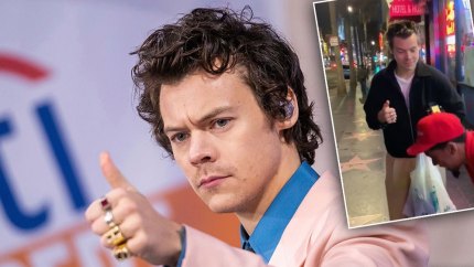 Harry Styles Gives Fan a Big Thumbs Up in Viral Video from Rare Outing