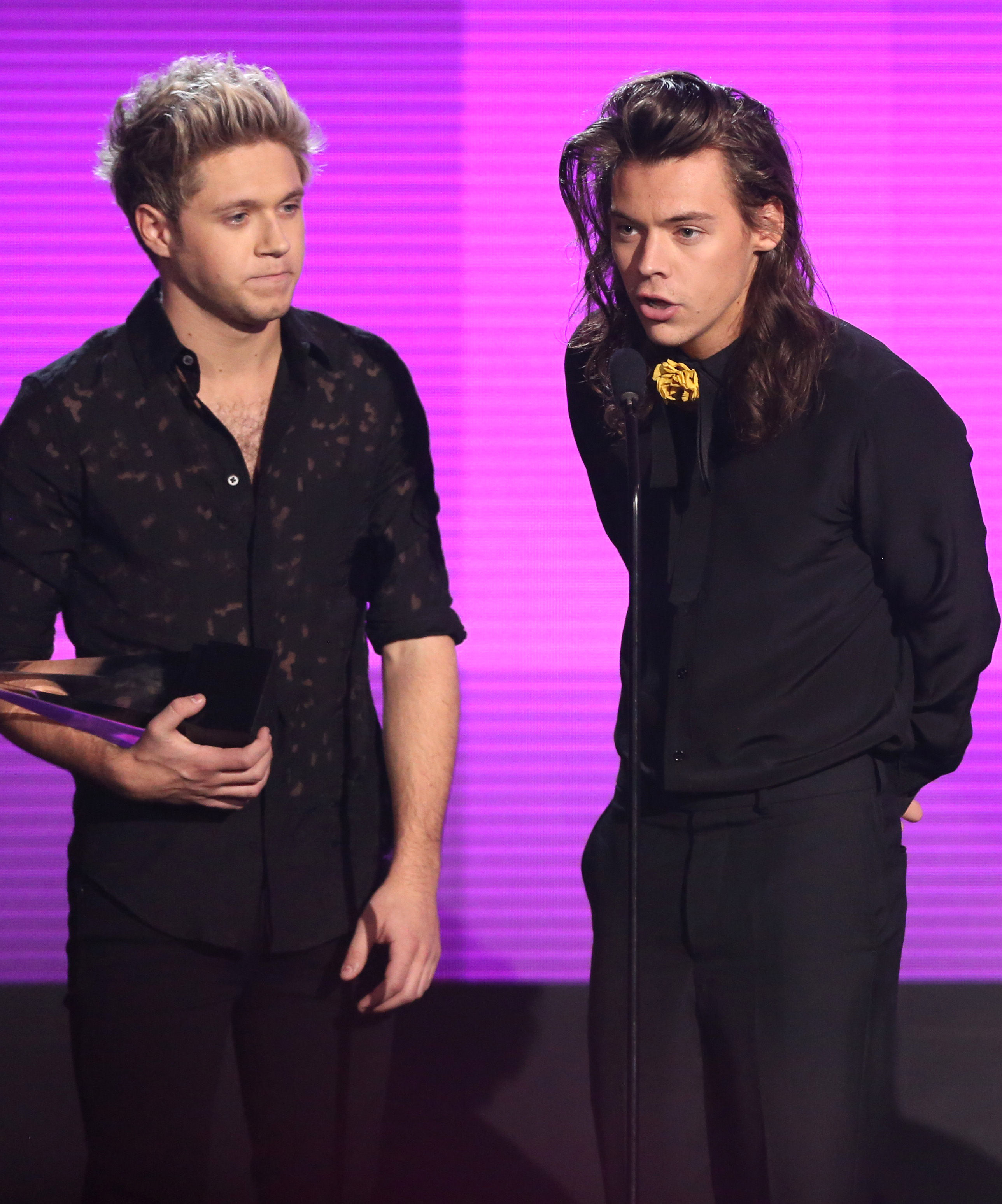 Harry Styles, Niall Horan Friendship Best Relationship Moments