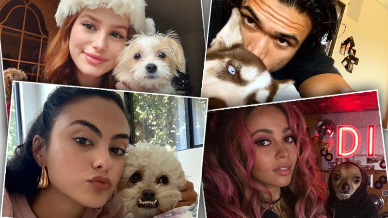 The 'Riverdale' Stars Are Total Dog Lovers: See Photos of the Cast and Their Pups