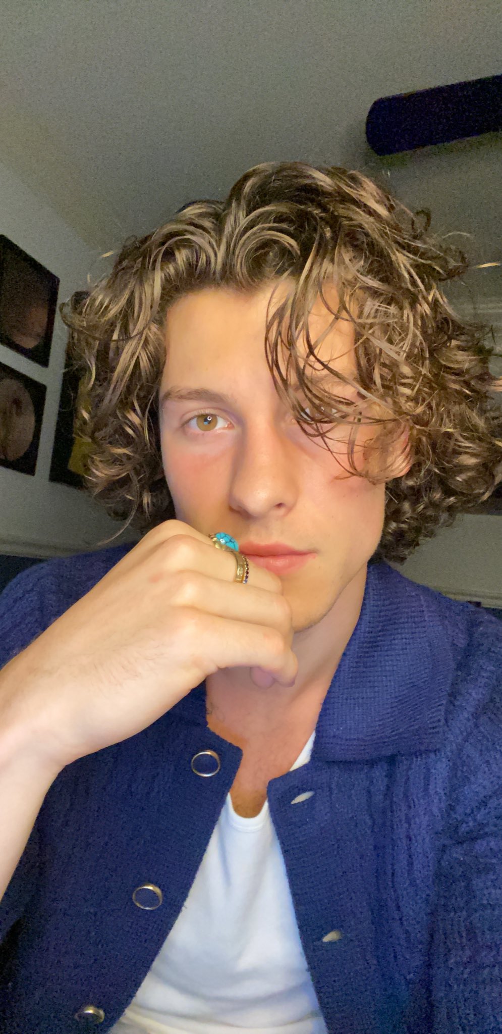 Check Out the Products Shawn Mendes Uses to Get His Iconic Curly Hair