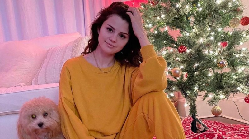 Celebrity Christmas Decorations of 2020: Demi Lovato, Kylie Jenner and More
