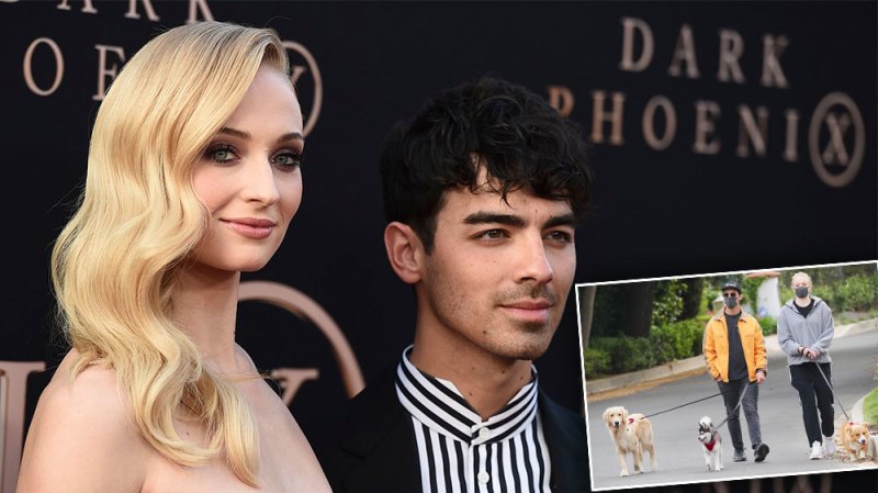 Joe Jonas and Sophie Turner Are Total Dog Lovers: A Guide to Their Pets