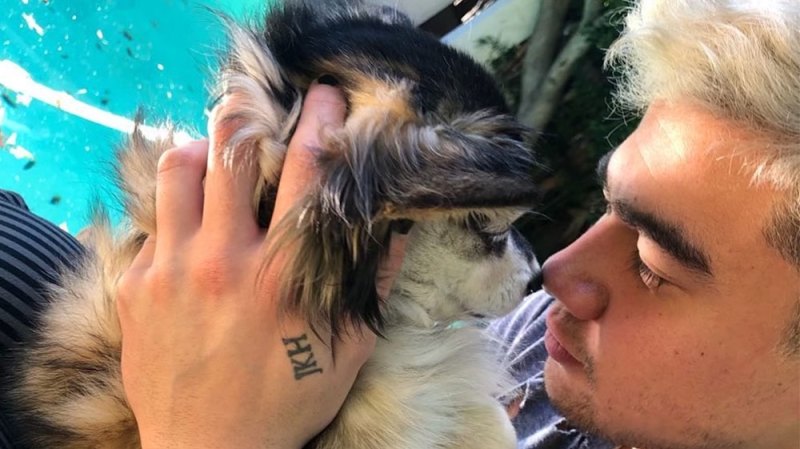 Calum Hood and His Dog Have a Special Bond: The Cutest Pics of the 5SOS Bassist and Duke